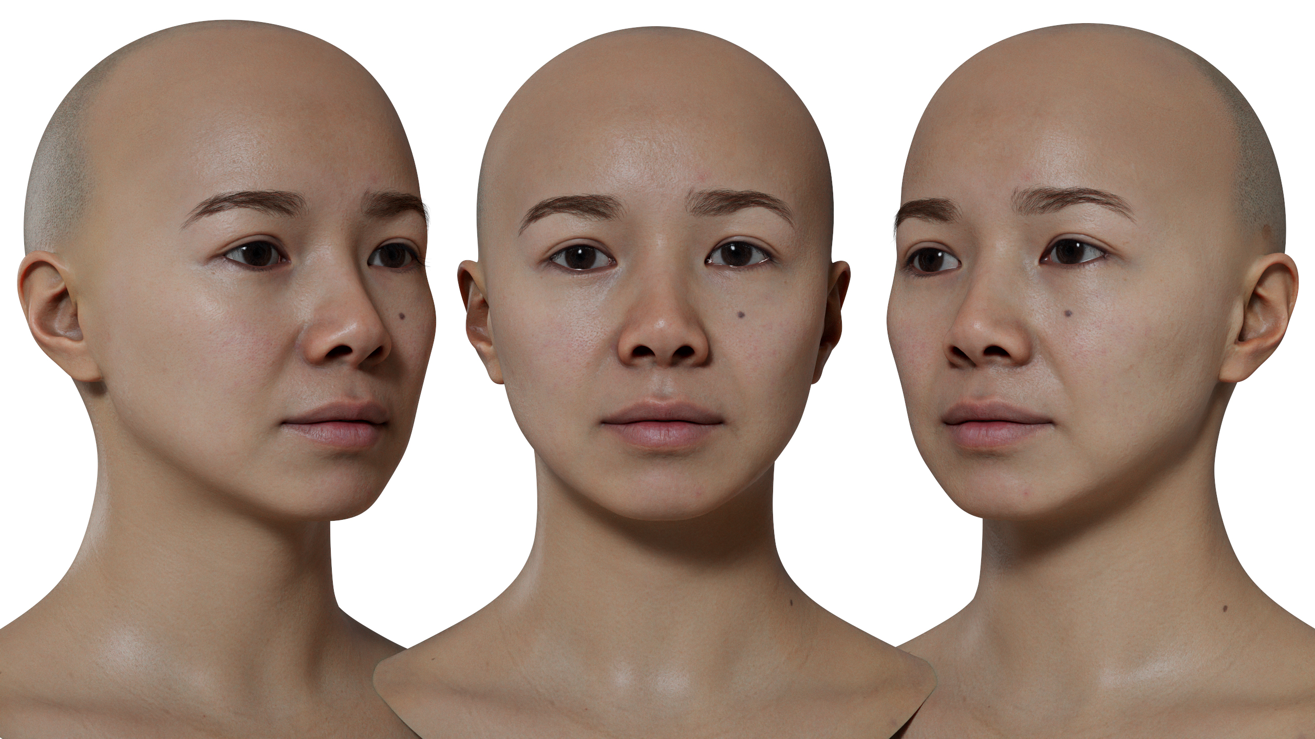 Female face scan download